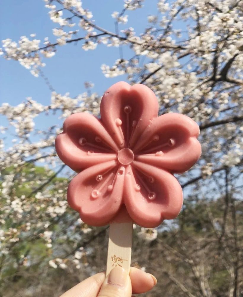 (摄影:赤耳) 还记得去年春天, 我们在玉渊潭赏樱花,吃樱花冰激凌, 就