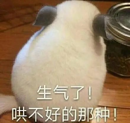 生气了哄不好的那种表情包图片