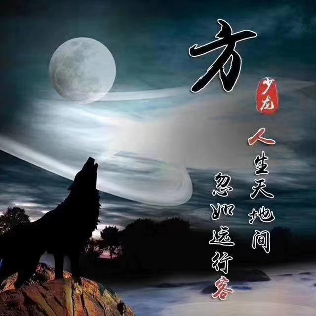 狼性励志头像设计 努力 加油!