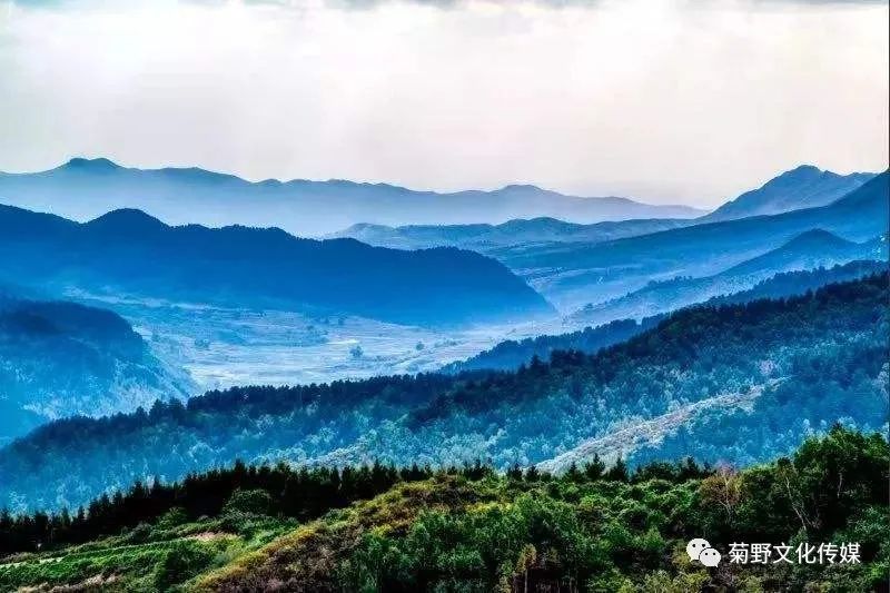 文/黑茶山 编辑/落英小桥 在黑茶山最高的山峰 我