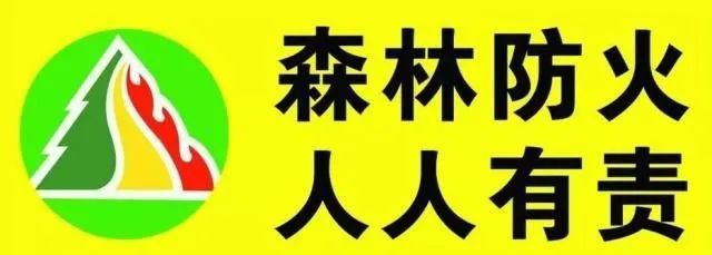 全国统一森林防火报警电话:12119