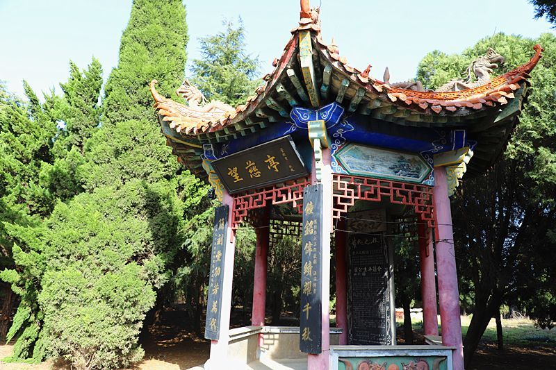 他跋涉千里,驱车回到叶县!竟是为了这件事!