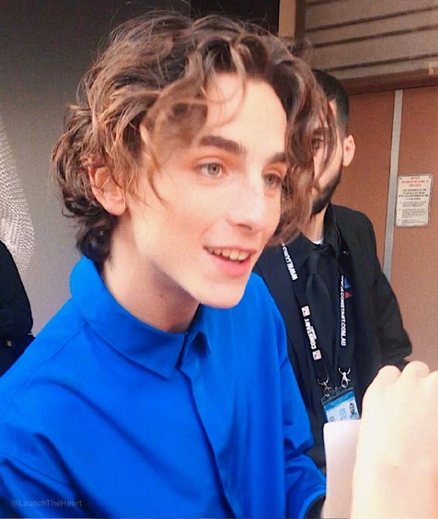 四国混血timothée chalamet甜茶的颜值有多高!
