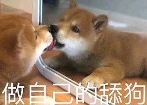 舔什么人口_常住人口登记卡是什么(2)