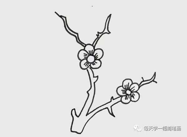 每天学一幅简笔画漂亮的梅花简笔画画法步骤图片