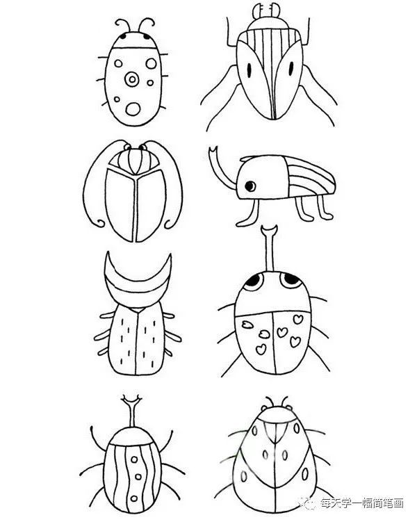 每天学一幅简笔画-甲虫简笔画步骤画法及图片大全