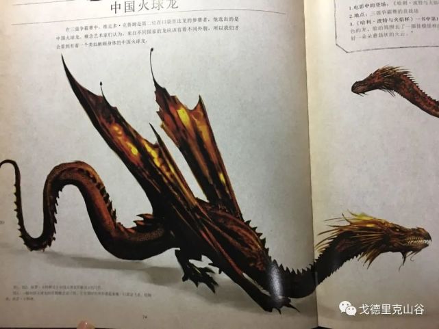 【hp官设】pottermore:《哈利波特》出现的火龙汇总