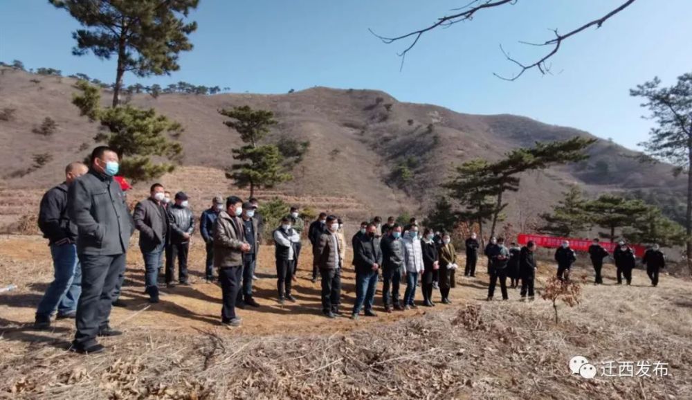 河北迁西罗家屯镇召开天网护绿现场会