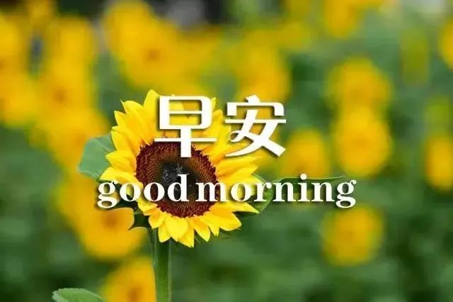 早晨好唯美动画表情图片 最新早上好温馨漂亮图片祝福