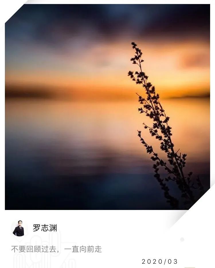 有趣是生活的调料,它使人生充满活力