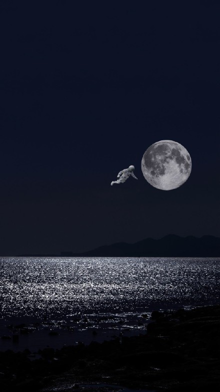 黑夜也是很美啊~前提是月光下的黑夜,无水印壁纸分享