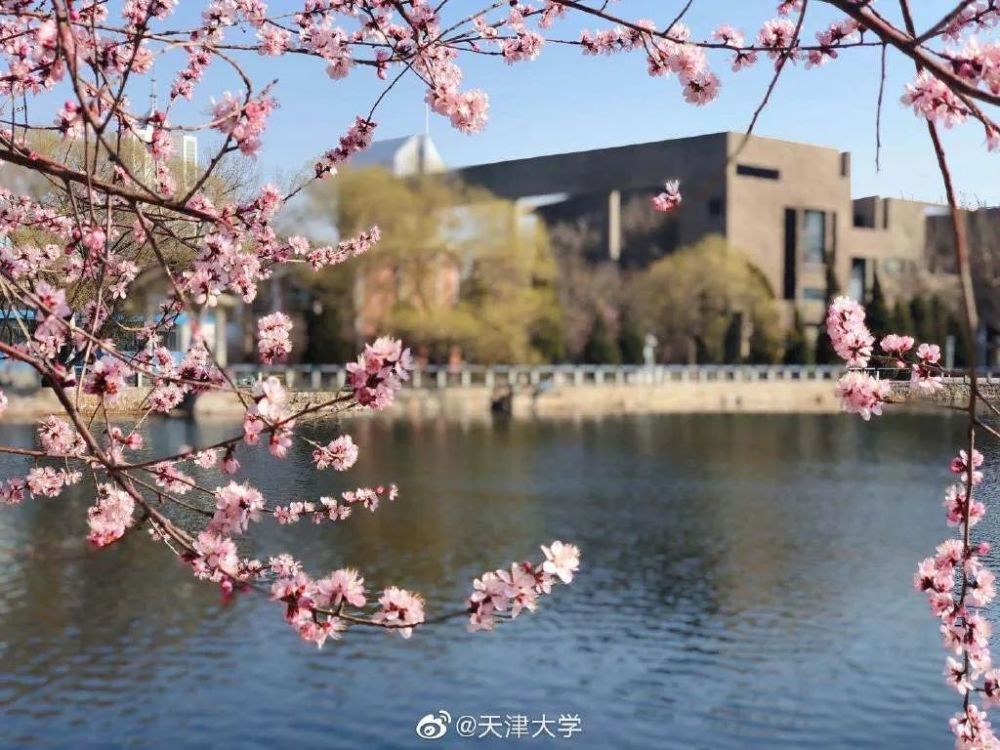 图片来自南开大学公众号图片来自南开大学公众号隔壁的小开也美得一塌