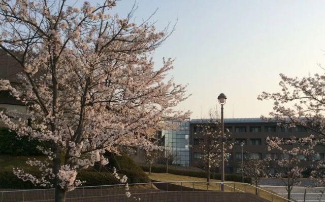 日本名校之石川县立看护大学小春网 浏阳网