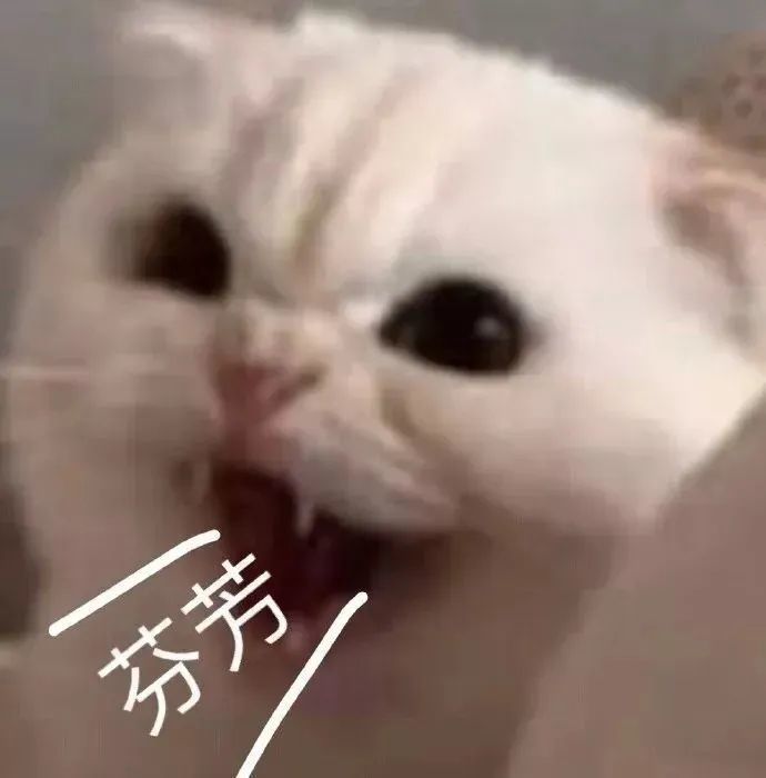 表情包 | 我生气了哄不好!