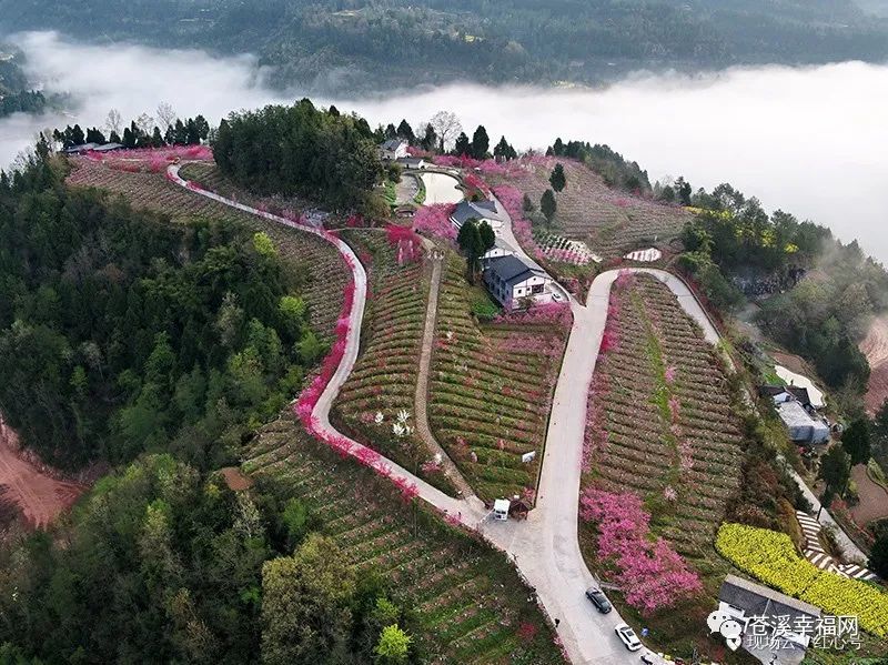 全国红色旅游景点景区,川陕苏区模范县展示地和生态红色文化旅游区