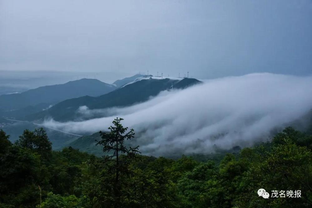 待到疫情散,来茂名,佳景正等你