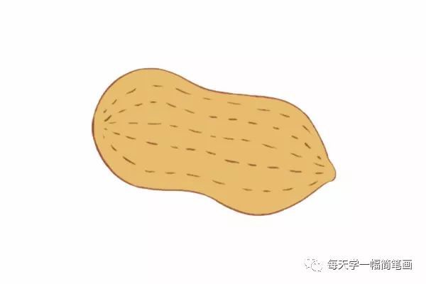 每天学一幅简笔画-花生简笔画简单画法图片大全