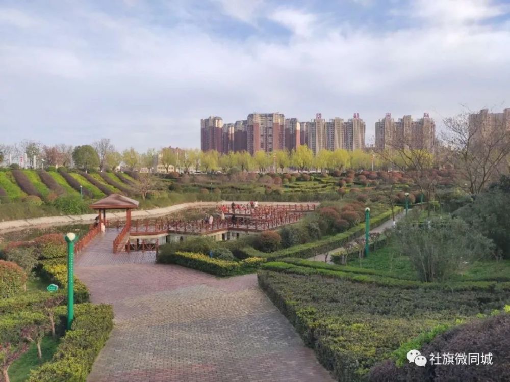连日来 ,一幅幅春日美景 在赵河公园,假山附近 各色花儿竞相绽放,美不