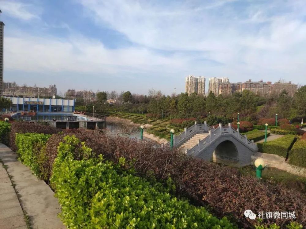 连日来 ,一幅幅春日美景 在赵河公园,假山附近 各色花儿竞相绽放,美不