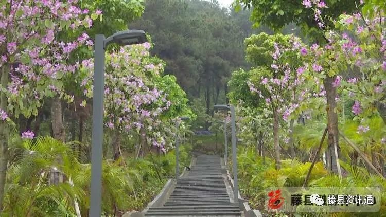学生 覃振明