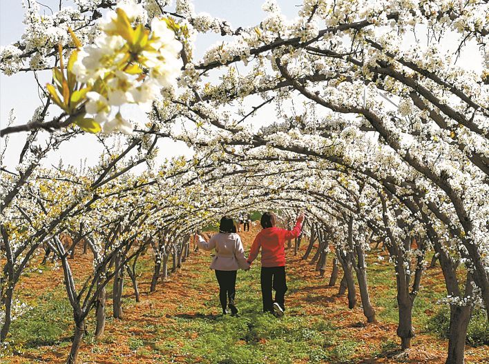 叶县桃花节赏花季持续到5月1日