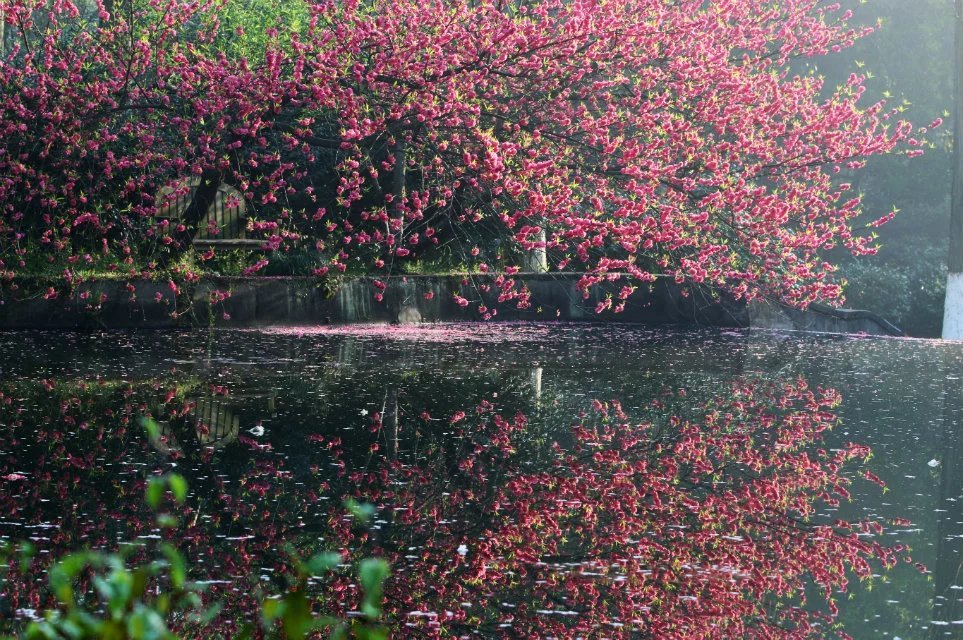 "桃花流水窅然去,别有天地非人间.",此亦人间,也是仙