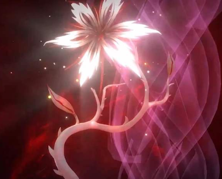 斗罗大陆:菊斗罗武魂虽为仙品,却被一人天生克制