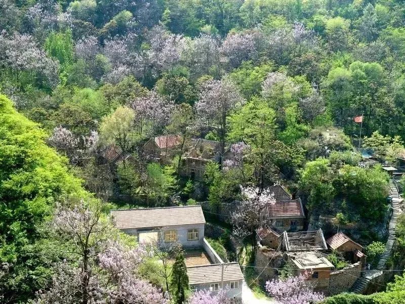 剧中马苏饰演的第一书记郑菲所驻村石坞村,为博山区域城镇石门景区恶