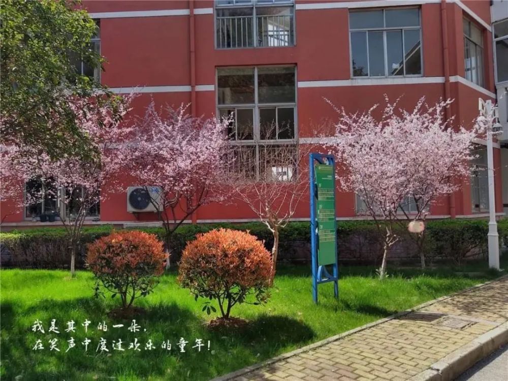 梅村实验小学