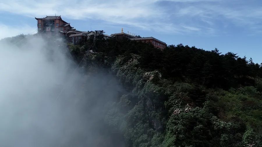 准备一下,峨眉山景区即将恢复开放