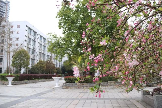 大足一中 大足二中 城南教育集团 龙岗一小 万古中学 双路中学 实验
