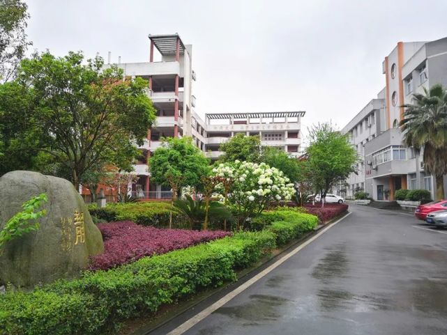 大足一中 大足二中 城南教育集团 龙岗一小 万古中学 双路中学 实验