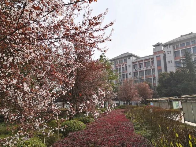 大足一中 大足二中 城南教育集团 龙岗一小 万古中学 双路中学 实验