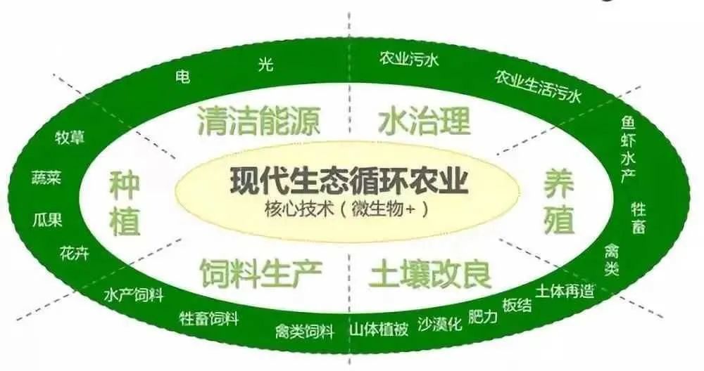 农业新趋势发展生态循环农业引领农业绿色转型