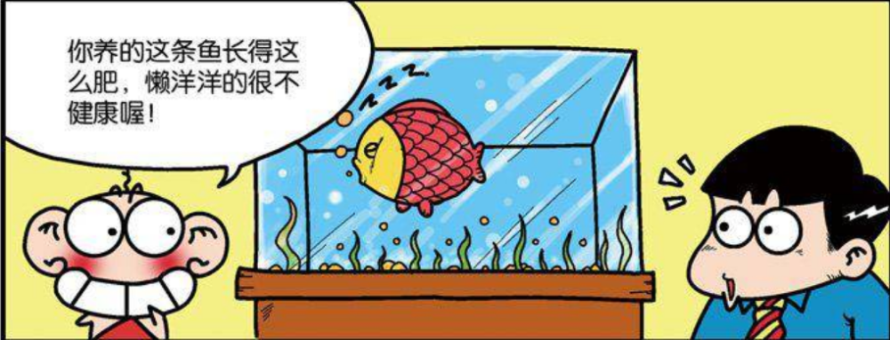 搞笑漫画：“鱼减肥”的方法脚下绑两块球板，么么：很好笑吗！
