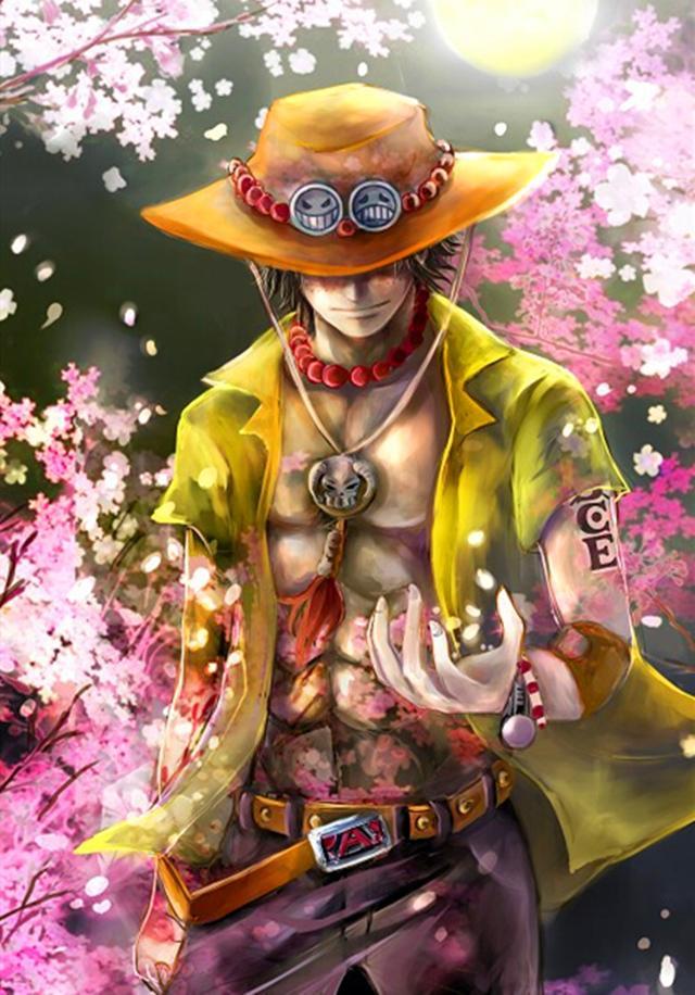 路飞,山治和索隆和谐的合照原来是这个,三人完美取代信号灯