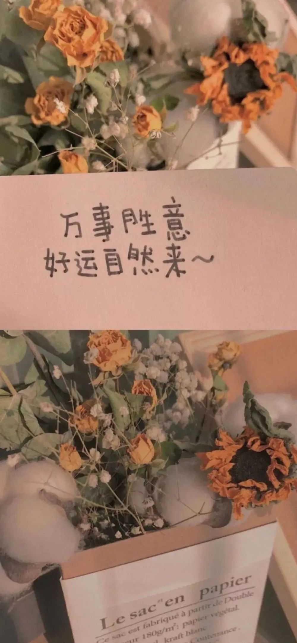 第263期:抖音热门壁纸,iphone高清壁纸