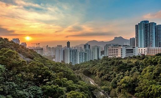 一个城市GDP高跟房地产_中国城市gdp排名2020