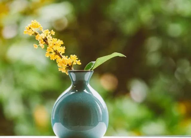 3.21清晨最美的一段心语