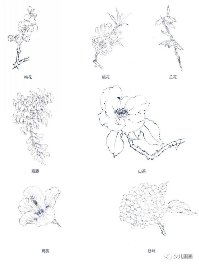 写意花鸟双钩画法