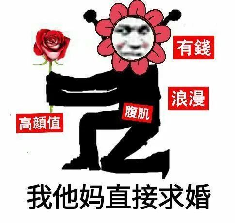 搞笑表情包:我他妈直接