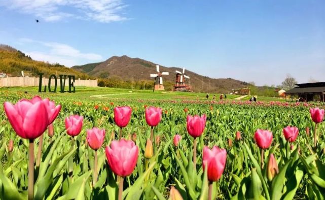 西九华山景区3月21日开园,花千谷免费门票任你抢