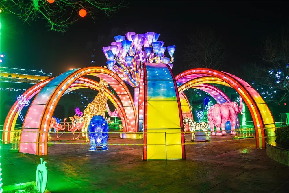 神州鸟园夜间游,彩灯节,水幕光影秀,赴一场惊艳时光的视觉饕餮盛宴