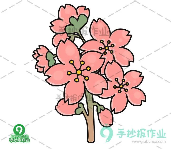 春天樱花简笔画 油菜花简笔画合集,美好春日,与樱花,油菜花来个约会!