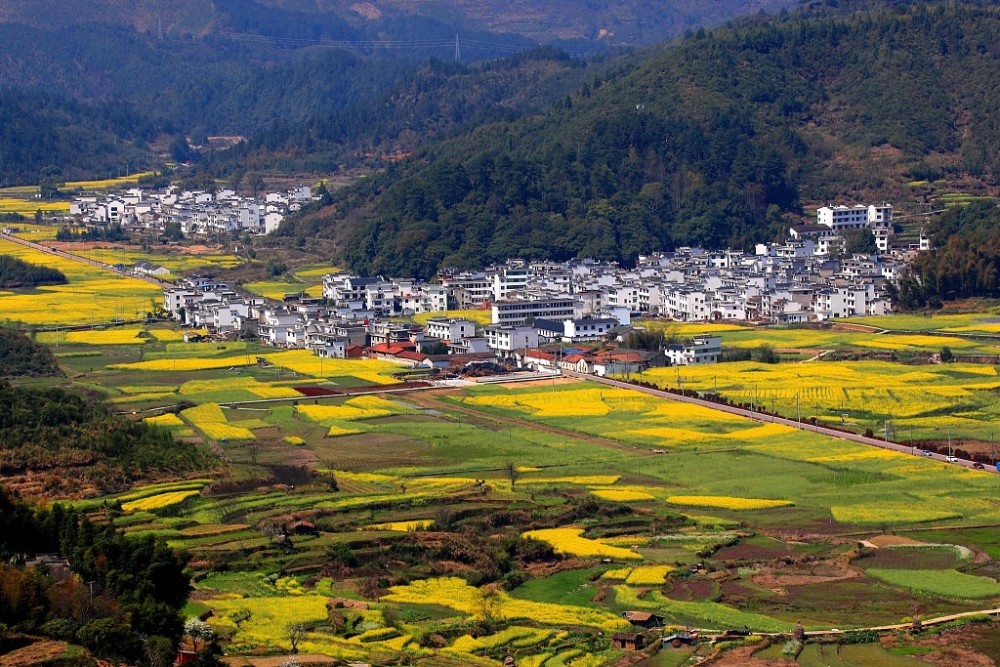 江西上饶:婺源乡村10万亩油菜花开,春景如画