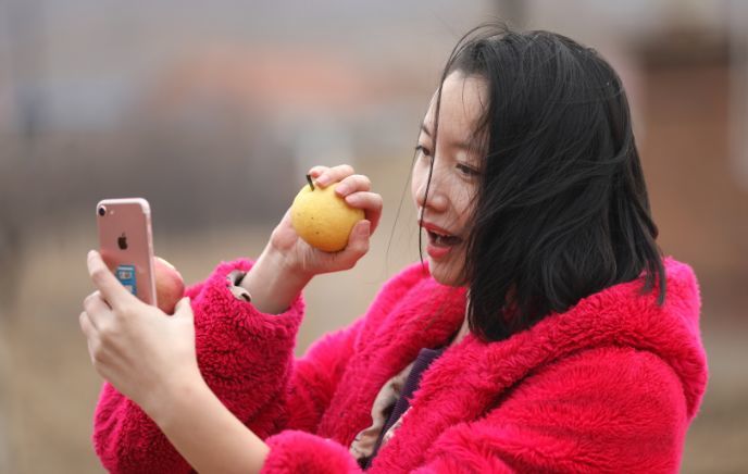 一名主播在鞍山市大屯镇驸马营村帮助果农进行网络直播销售南果梨(3月