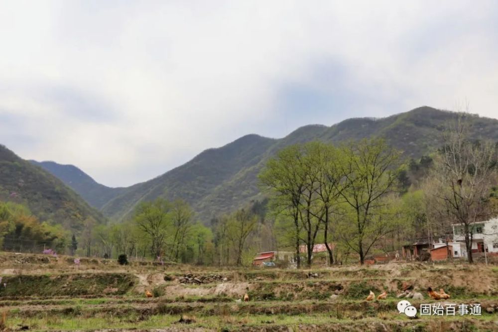 固始有一个村叫齐山村…_腾讯新闻