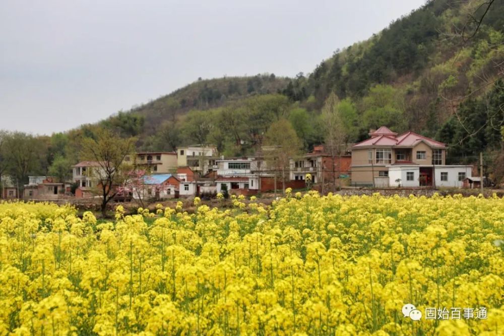 固始有一个村叫齐山村…_腾讯新闻