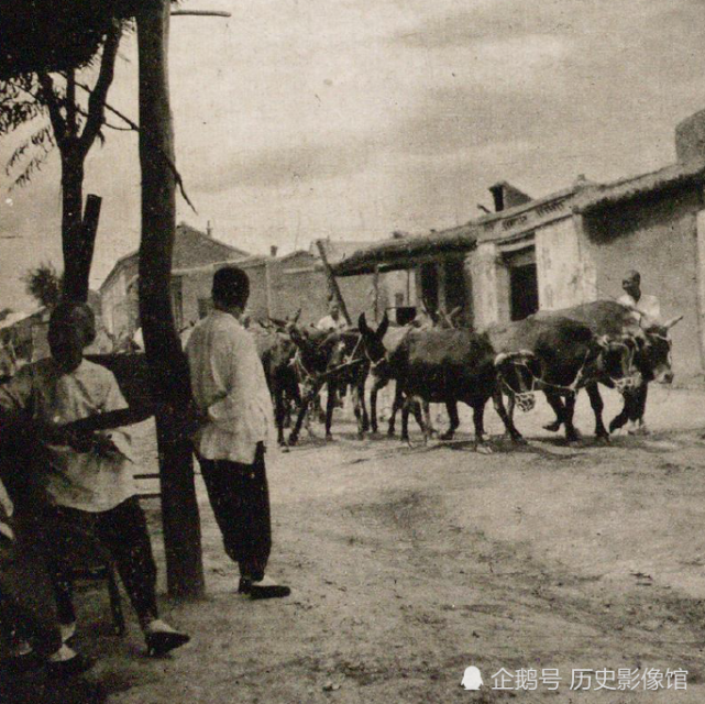 日本人拍的1940年代中国农村春季景象,意想不到!