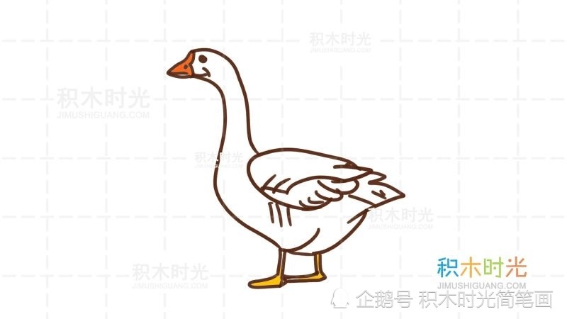 物简笔画图片大全,画大鹅简笔画,简笔画线稿和上色大全